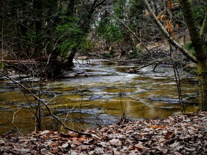 Creek